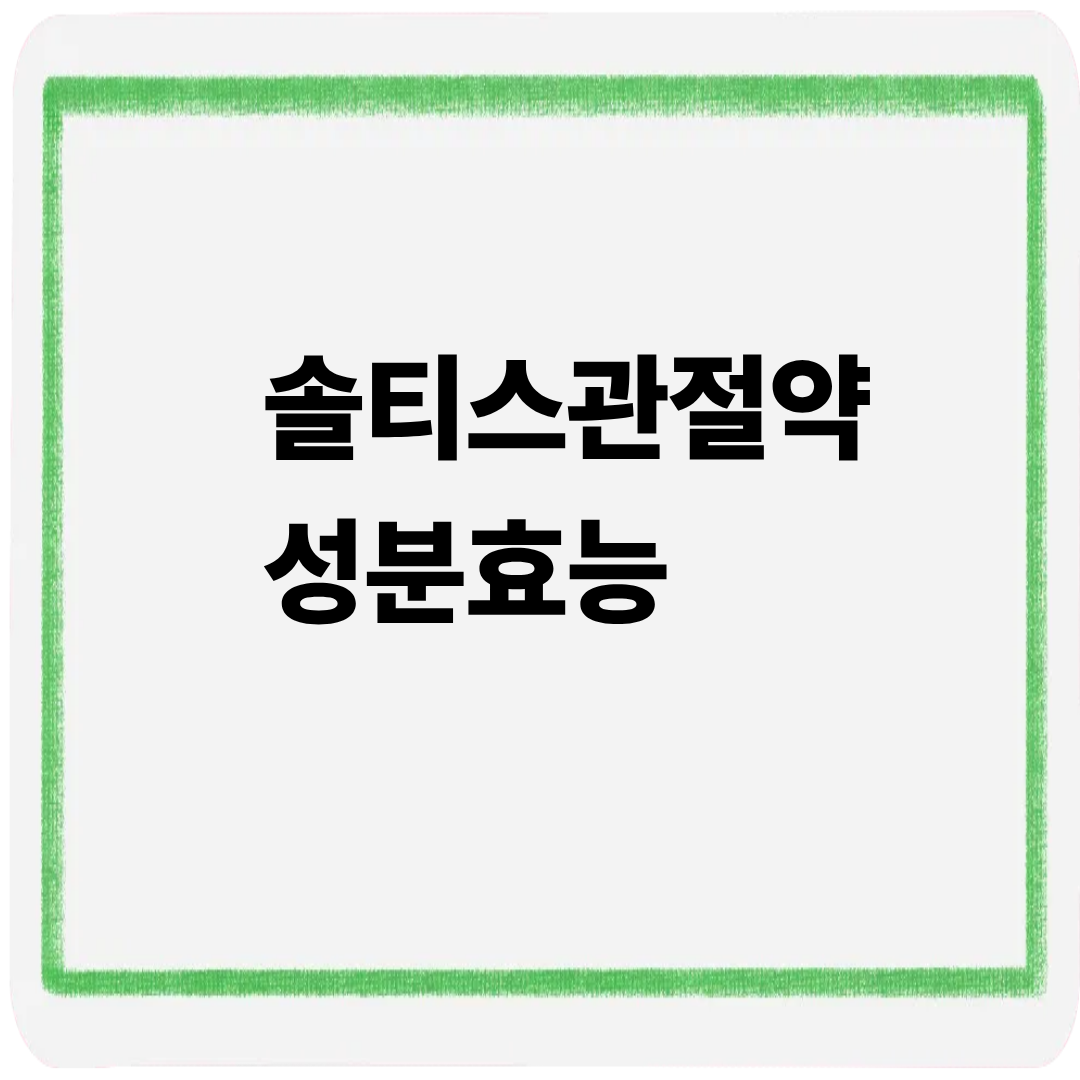 솔티스관절약 성분 효능