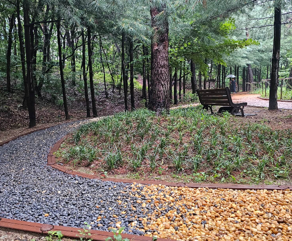 계족산 황토길 걷기&amp;#44; 맨발걷기 효능2