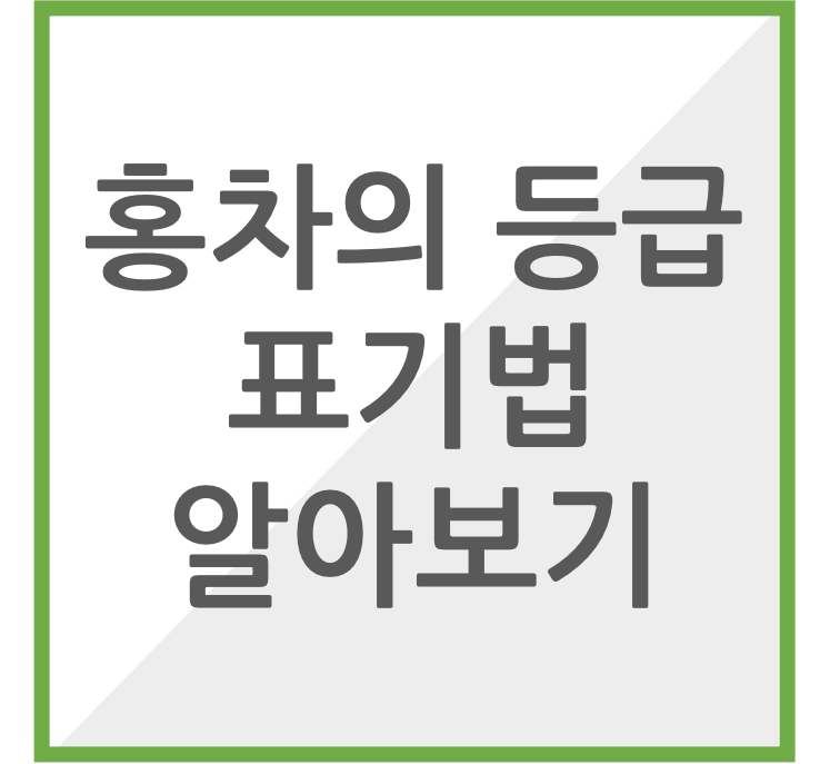 홍차의 등급 표기법 알아보기 썸네일 이미지