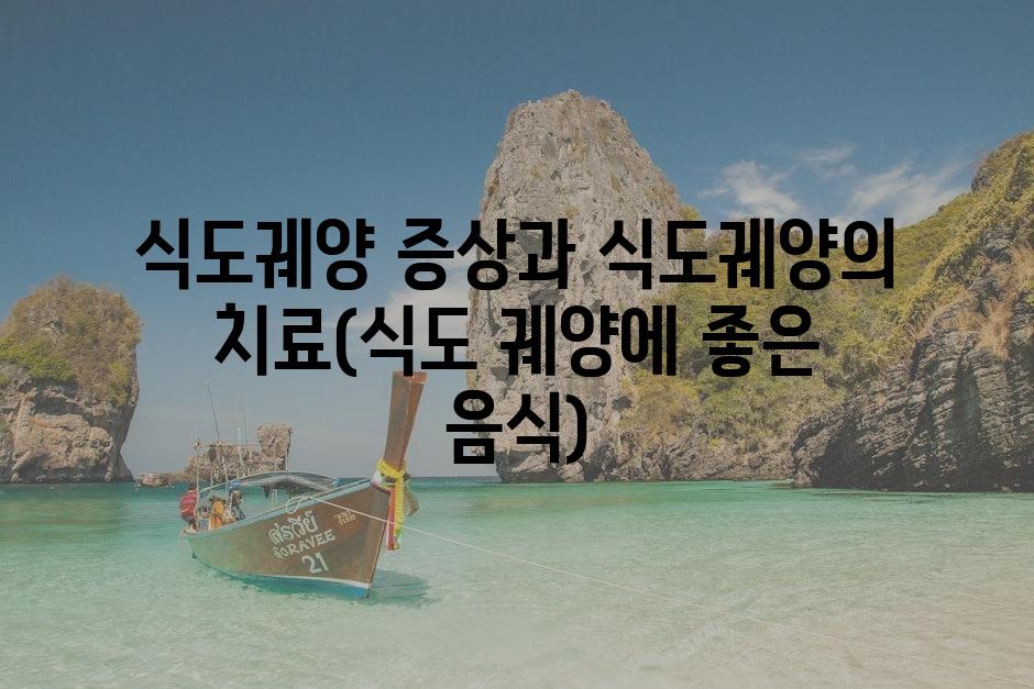 샘플 (80)