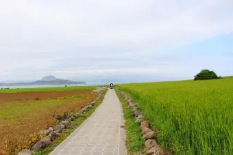 제주 가파도 가는 운진항 배 시간표 요금 예약 예매_21