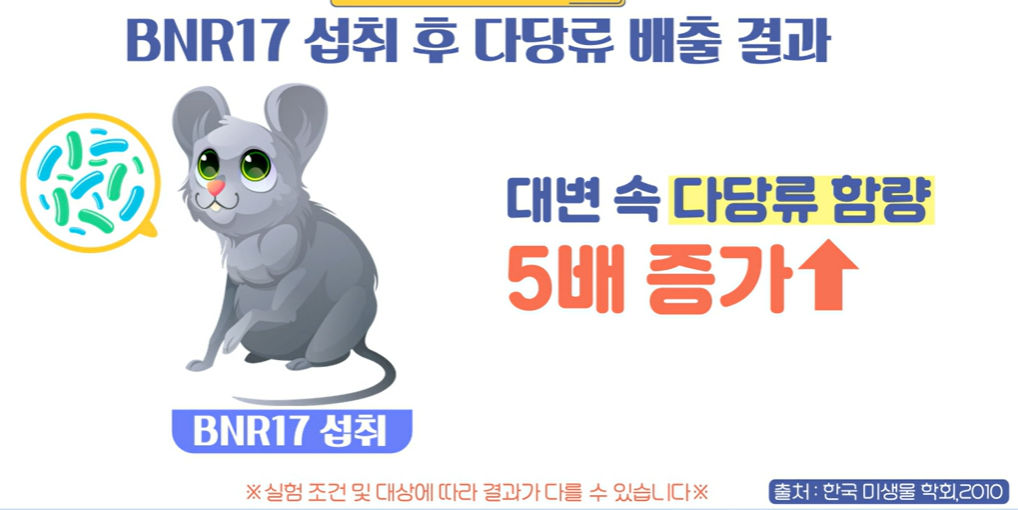 bnr17유산균 효능