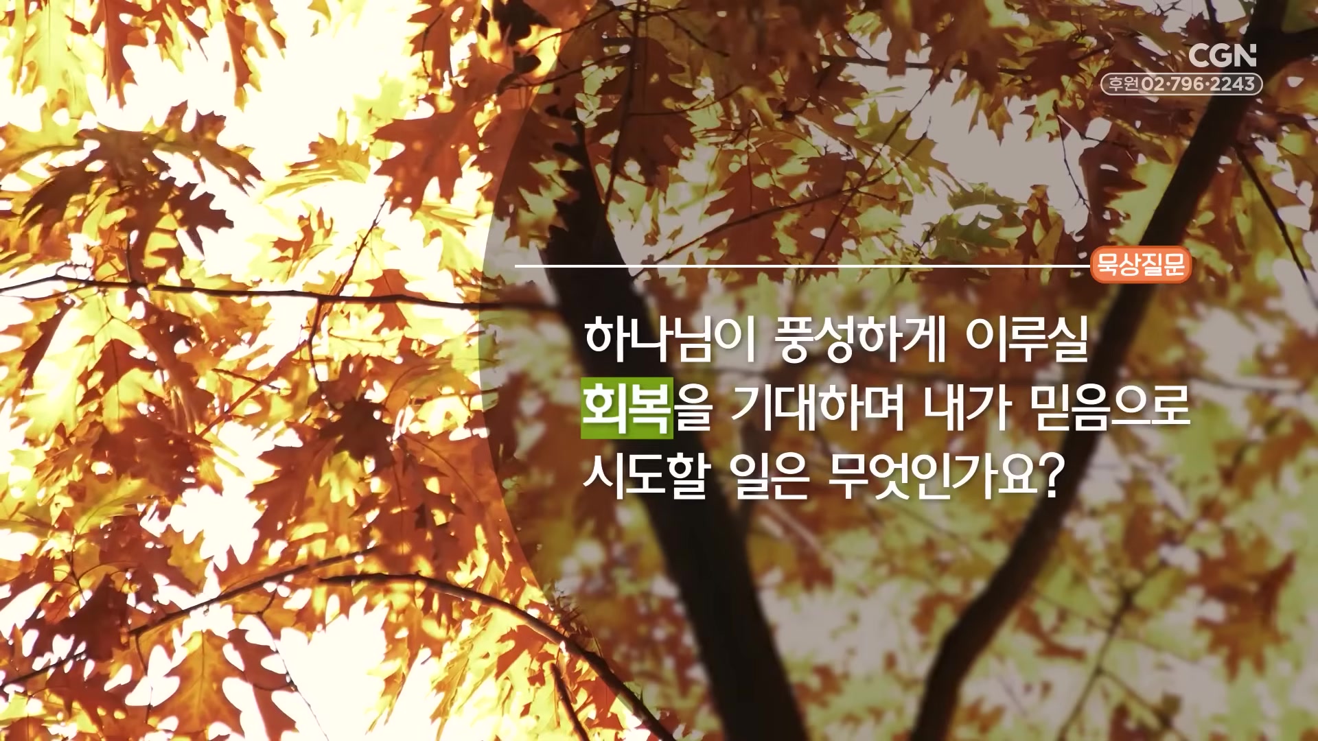 하나님이 풍성하게 이루실 회복을 기대하며 내가 믿음으로 시도할 일은 무엇인가요?