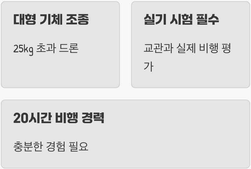 진정한 프로페셔널의 증명, 1종 자격증
