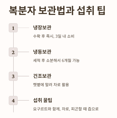 복분자 보관법과 섭취 팁