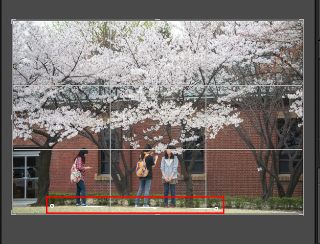 라이트룸에서 사진의 수직, 수평 맞추는 방법