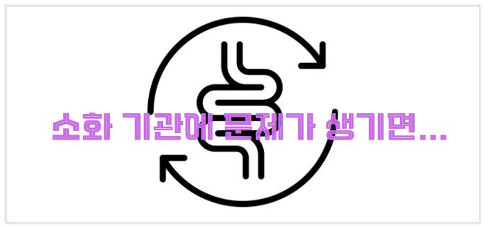 소화 기관에 문제가 생기면 비타민 K의 흡수가 방해