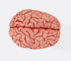 뇌졸중 치료방법 진단 합병증