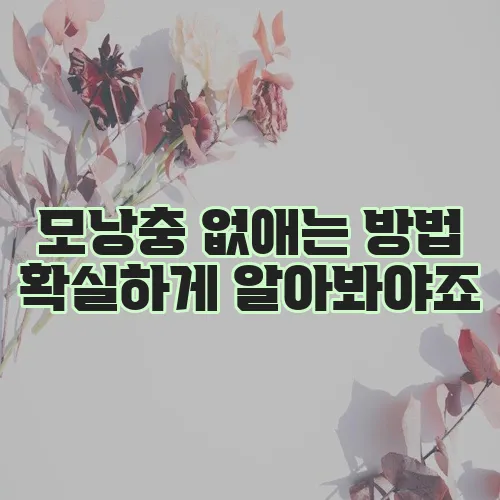 모낭충 없애는 방법 확실하게 알아봐야죠