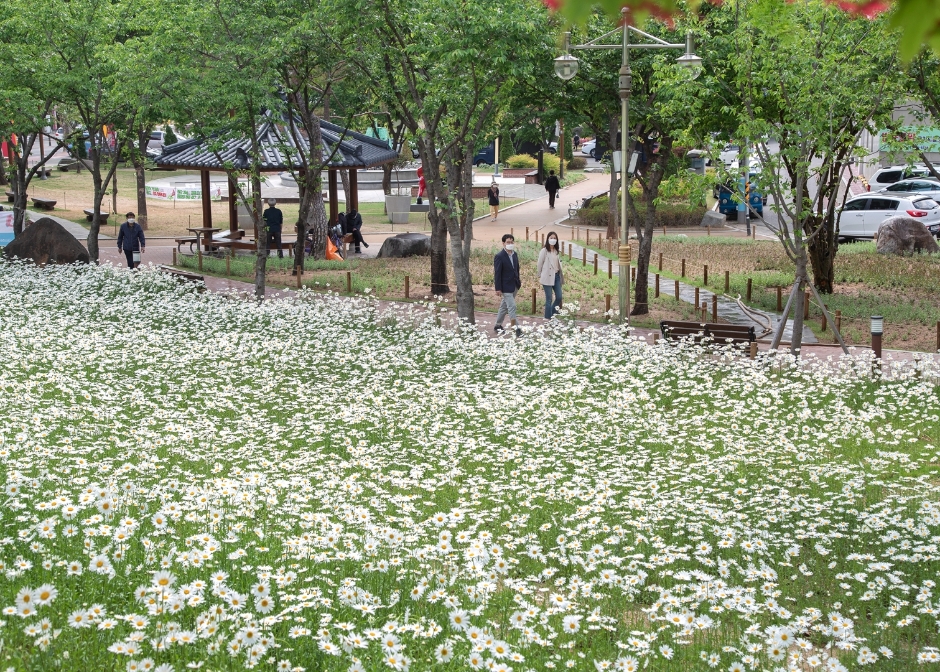 대구 서구 그린웨이