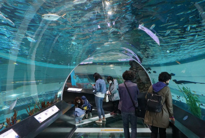 '2025 뮤지엄나잇 오션필름위크', 부산에서 열리는 해양영화제 일정과 관람팁