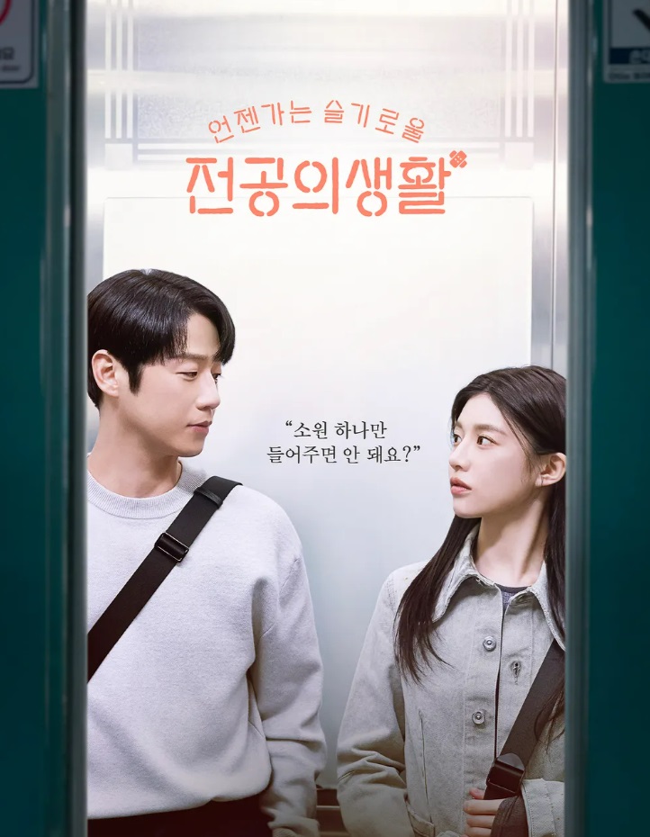 언젠가는 슬기로울 전공의생활 줄거리(4)