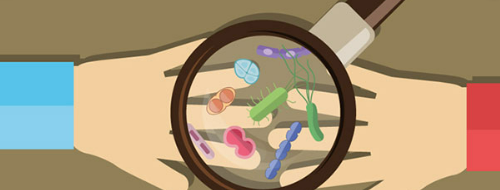 노로바이러스 감염 원인