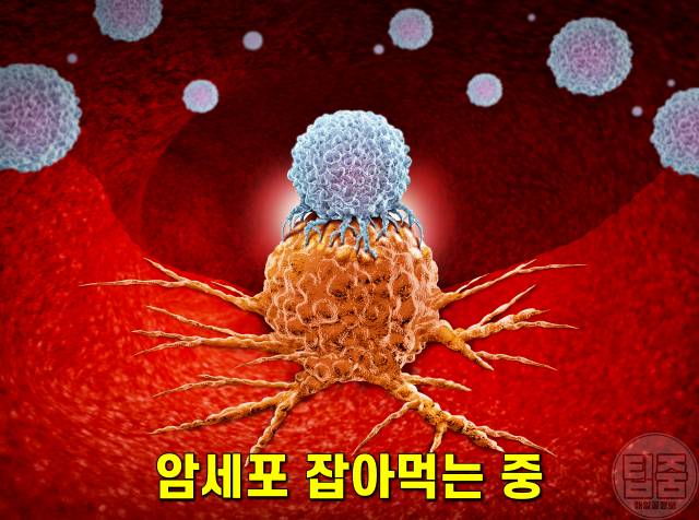 샤인머스켓 효능,전립선에 좋은음식,팁줌