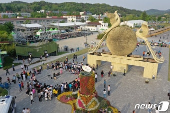 담양 대나무축제 