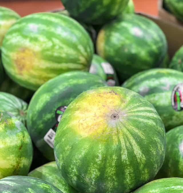 이 부위가 크림색이나 노란색으로 변한 것을 찾으세요. 흰색이라면 덜 익은 수박일 가능성이 큽니다.