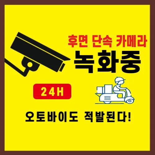 후방 단속 카메라 적발 시작