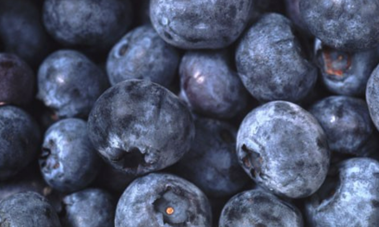 폴라보노이드가 풍부한 베리류