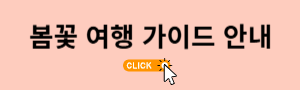 봄꽃 여행 가이드 안내