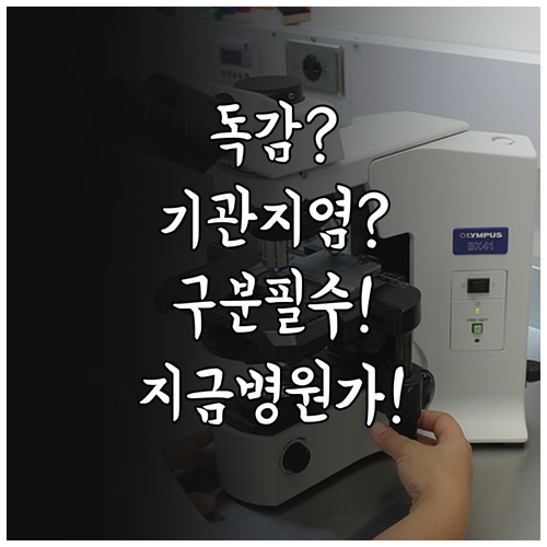 B형 독감과 기관지염 구분하는 방법과..