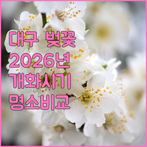 2026년 대구 남구 벚꽃, 개화 시..
