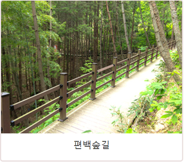 거제 맹종죽테마공원