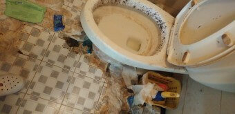 변기에-누련-곰팡이가-끼어-아무리-급해도-용변을-보기싫은-변기통