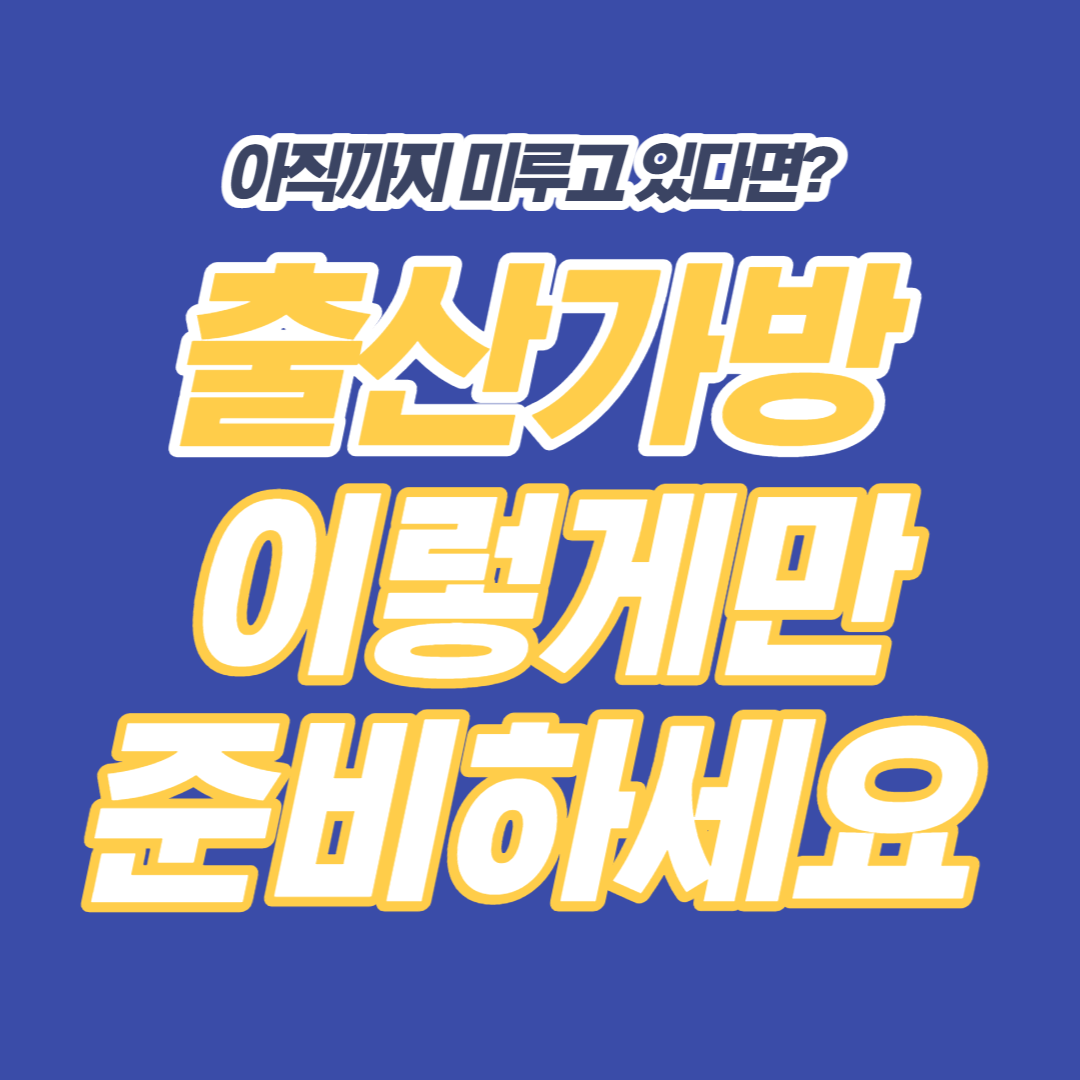 출산가방리스트 출산 가방 리스트