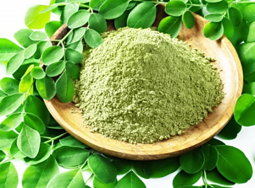 모링가잎 먹는 방법