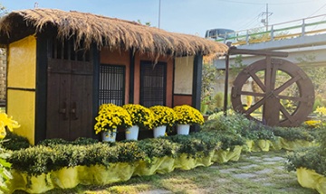 장성 황룡강 가을꽃축제 (행사정보&amp;#44;주차요금&amp;#44;입장료)