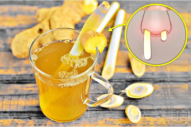 코막힘 뚫는법 코막힘에 좋은음식 생강차