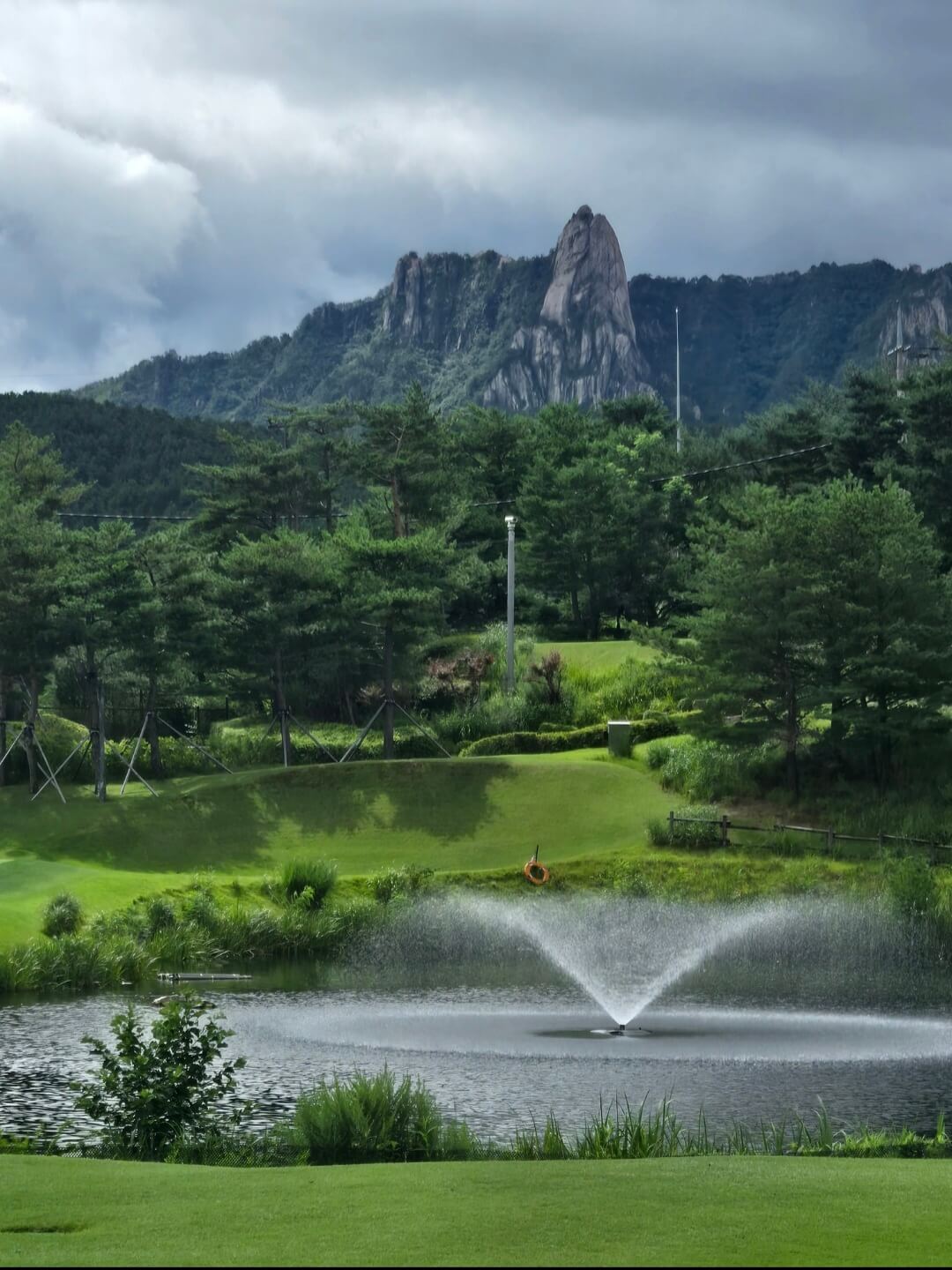 아름다운 델피노CC 코스전경