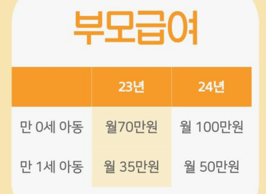 2024년 출산혜택 신청 지급 사용처 방법