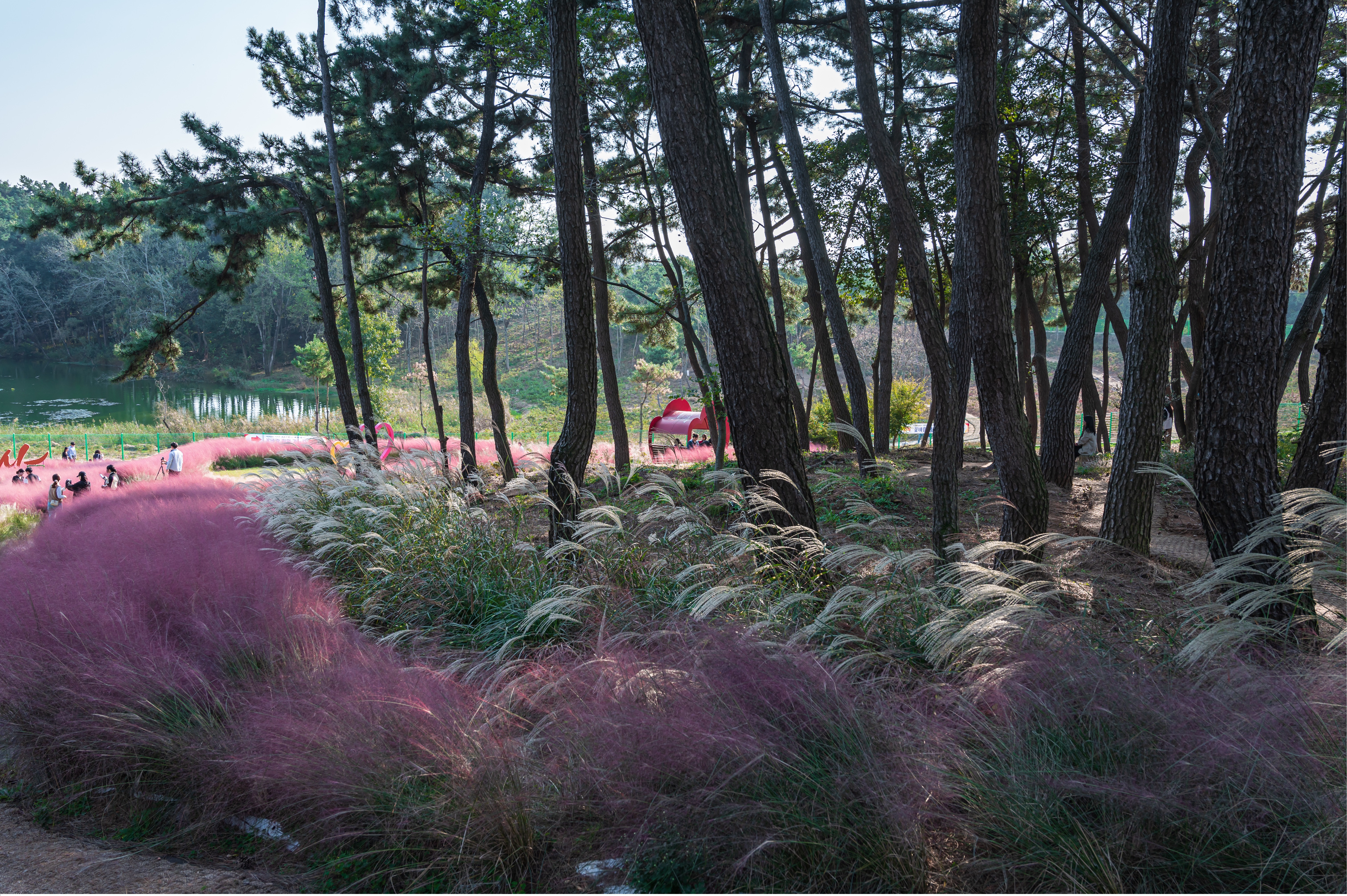 ์ ํฅ ๊ทผ๋ฆฐ ๊ณต์ ๋๋ ๊ธธ