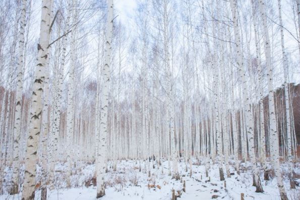 국내겨울여행지추천