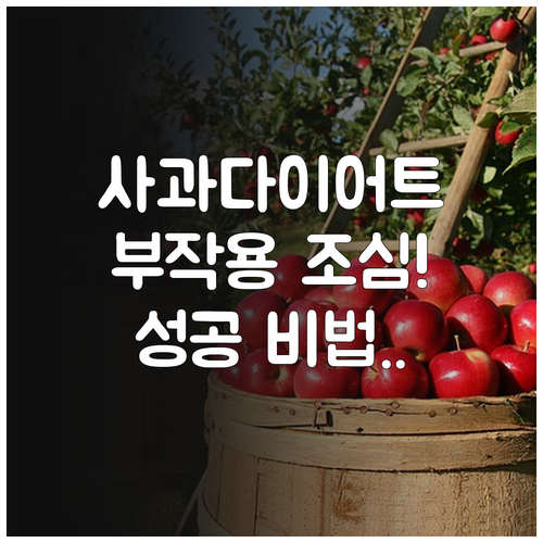 사과 다이어트 시 주의해야 할 점과 ..