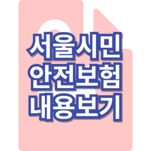 서울시민안전보험