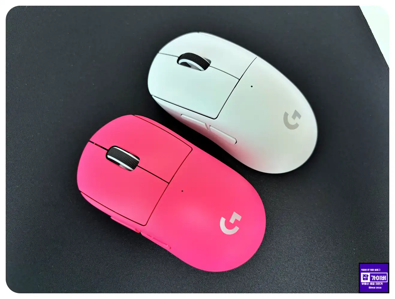 로지텍 지슈라2C 화이트 컬러 실사용 모습