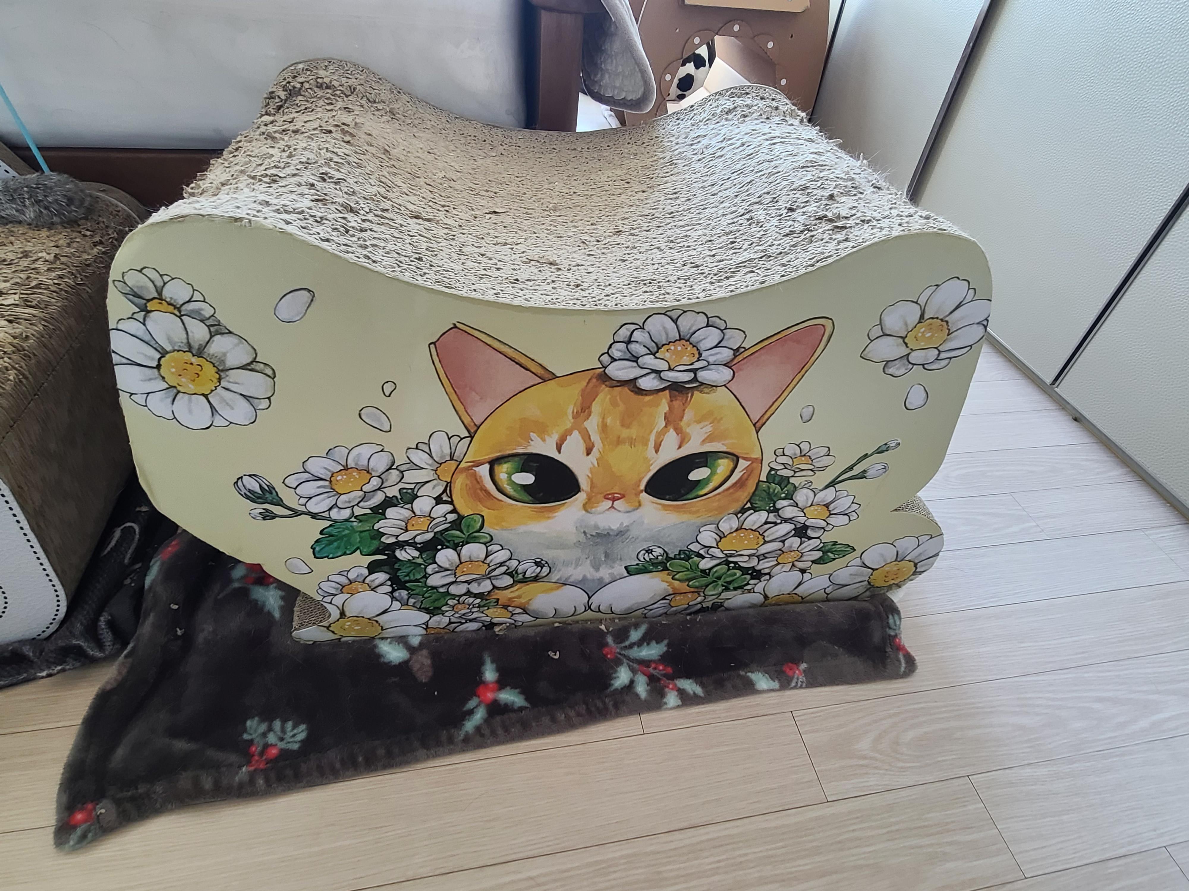 고양이들의 차차스크래쳐를 교체했다.