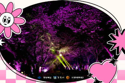 벚꽃축제