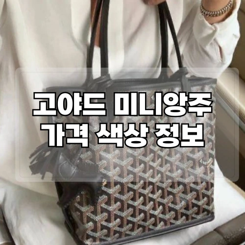 고야드-미니앙주-가격-색상-정보