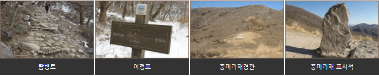 당산나무탐방로