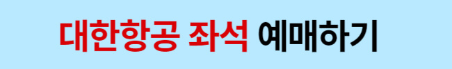 비행기 상황별 좋은 좌석 예매하는 방법