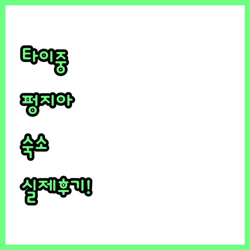 타이중 펑지아 숙소 5곳 실지 투숙객..