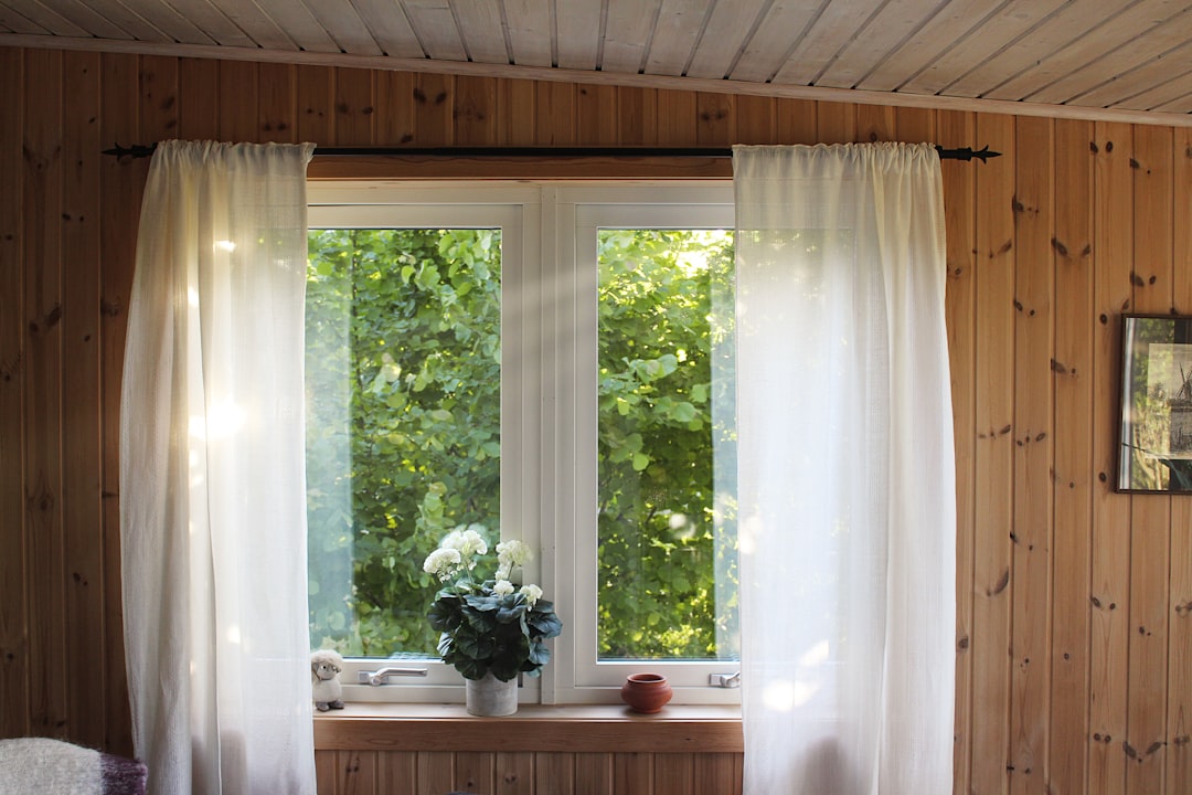 Window