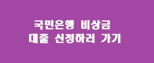 국민은행 비상금 대출