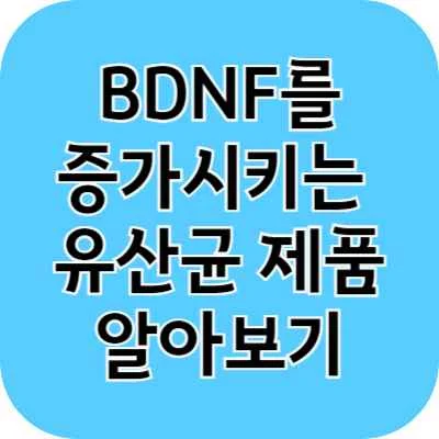 장호르몬 BDNF를 증가시키는 유산균 제품