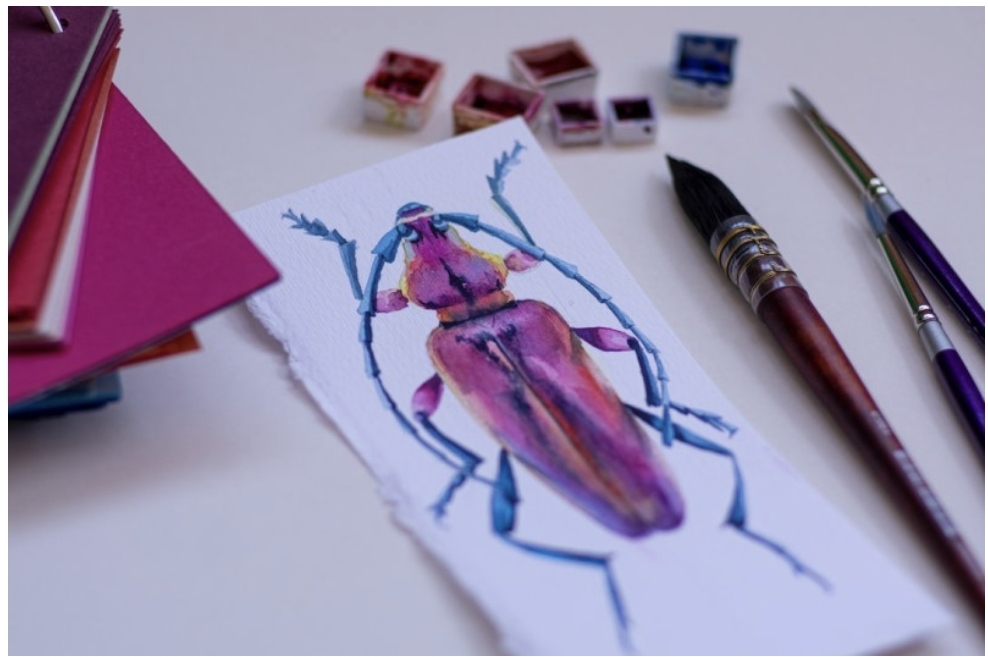 바퀴벌레 그림이 그려져 있다