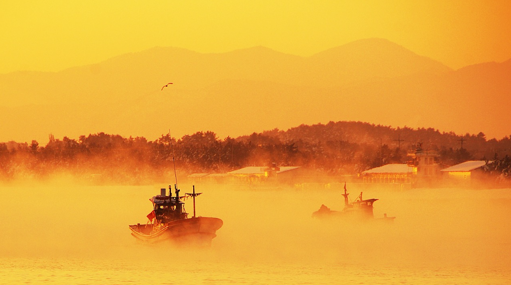 대한민국 인기 둘레길 코스 비교