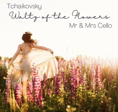 춤의 왈츠 앨범